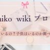 aiko 画像　タイトル